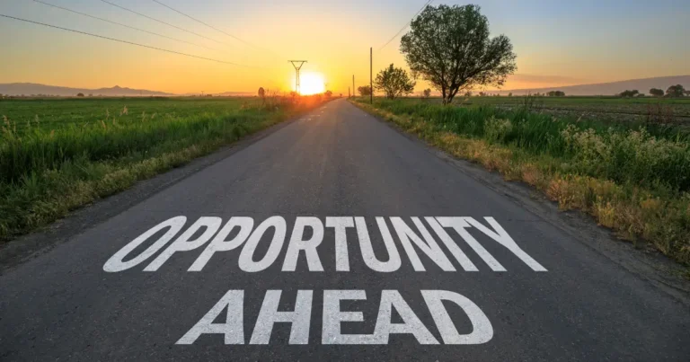 Exploring Brand Licensing Opportunities