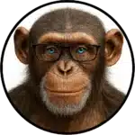 The Crisis of Sanitised Political Analysis in New Zealand 1 The Crisis of Sanitised Political Analysis in New Zealand