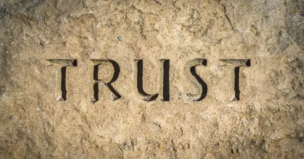 Building Trust Across New Zealand