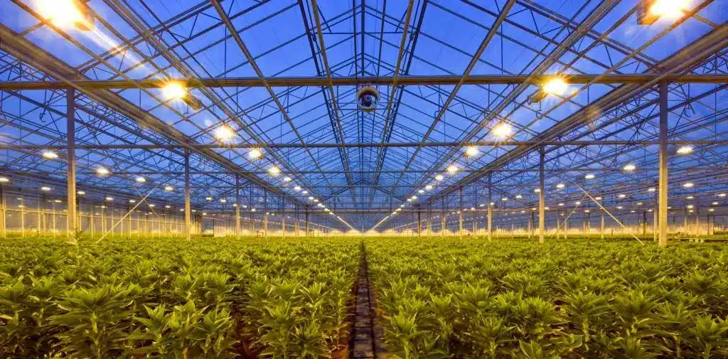 Grow Warehouse: The Auckland Startup Quietly Owning NZ’s Indoor Growing Market